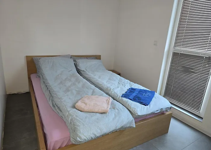 The Ascent * ソフィア